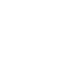 logo_0003_leonisa